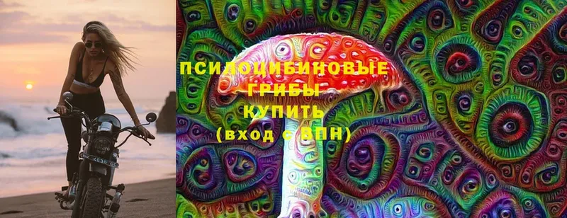 гидра ONION  Печора  Псилоцибиновые грибы Psilocybine cubensis 